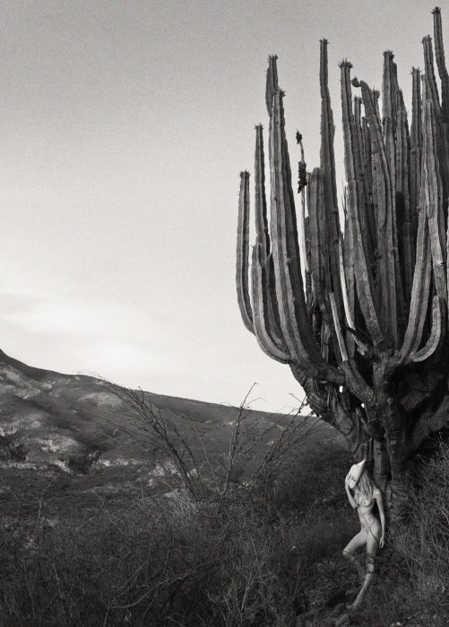 Девушки бывают разные