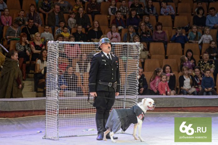 Великая Победа и российский цирк