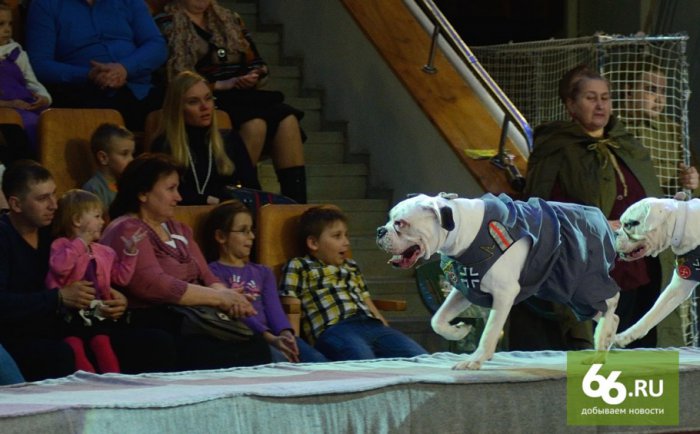 Великая Победа и российский цирк