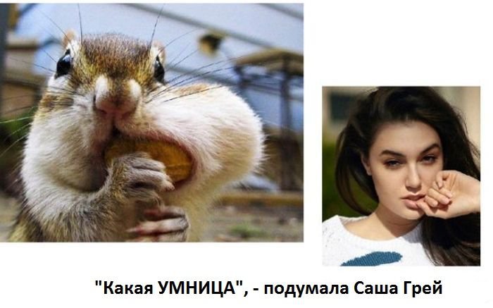 Подборки Саши Грей НЕ от Шестоусова