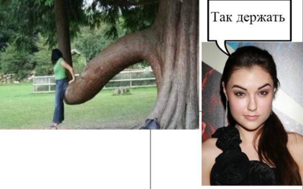 Очередная подборка Саши Грей