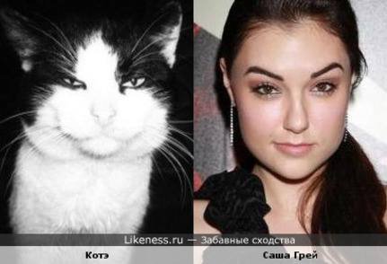 Очередная подборка Саши Грей