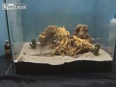 Самая жуткая химическая реакция!