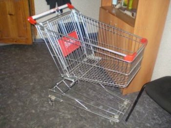 5 лет за "угон" тележки из супермаркета