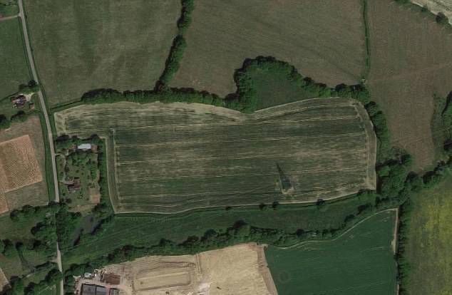 Принципиальный фермер Принципиальный фермер