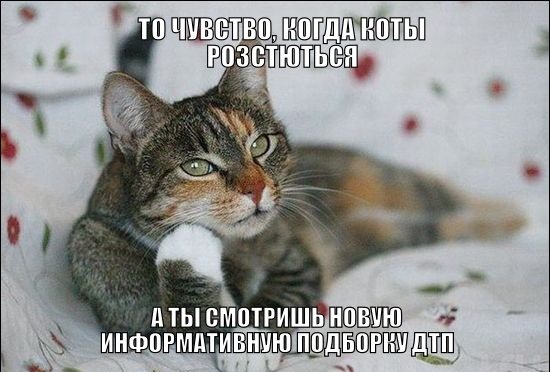 Под Кирпич #284. Подборка ДТП и Аварий. Май 2015 Под Кирпич #284. Подборка ДТП и Аварий. Май 2015