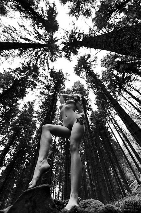 Девушки бывают разные