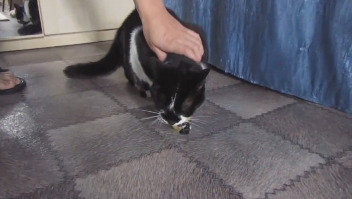 Птичку жалко