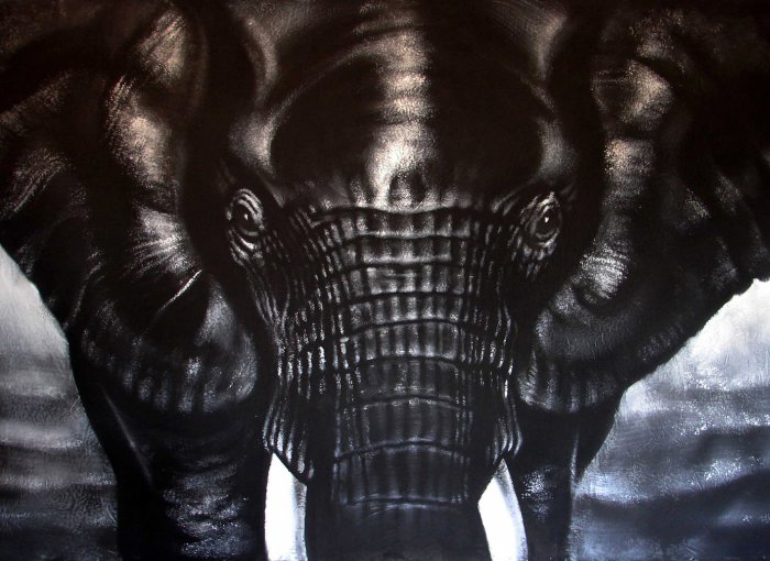 Работы Philippe Vignal