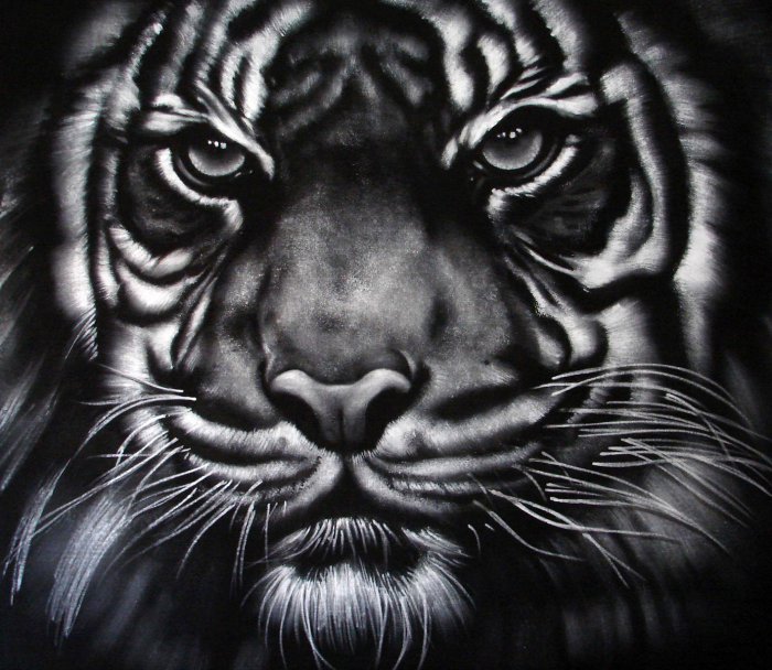 Работы Philippe Vignal