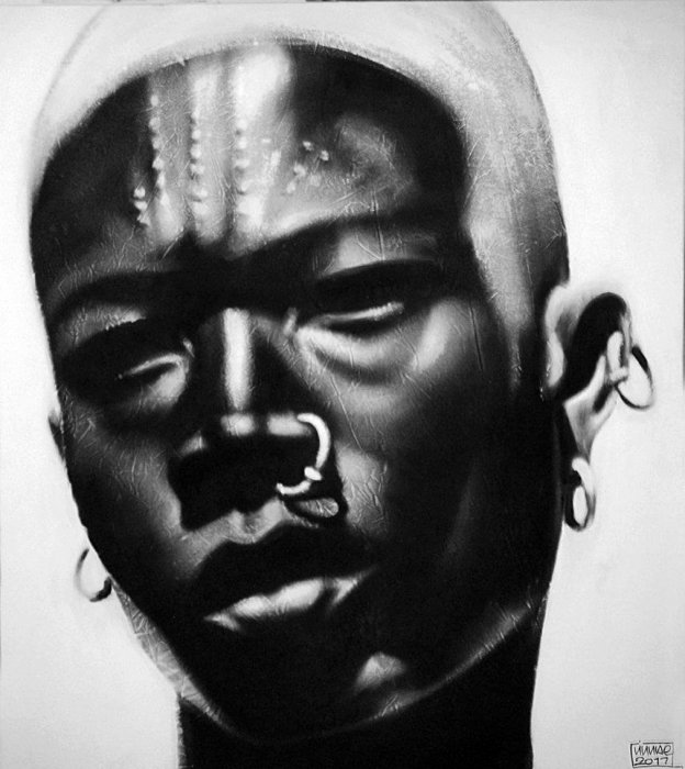 Работы Philippe Vignal