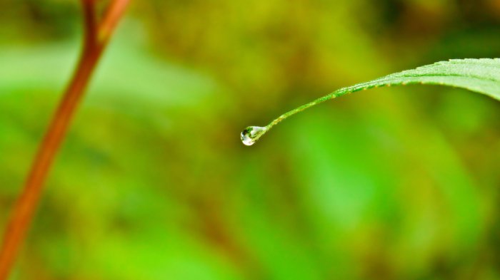 Обои на рабочий стол / HD Computer Wallpaper 100