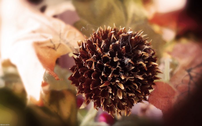 Обои на рабочий стол / HD Computer Wallpaper 100