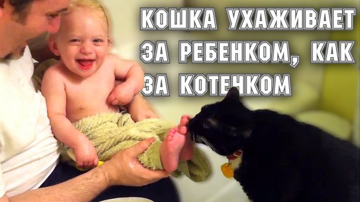 Кошка ухаживает за ребенком, как за котенком
