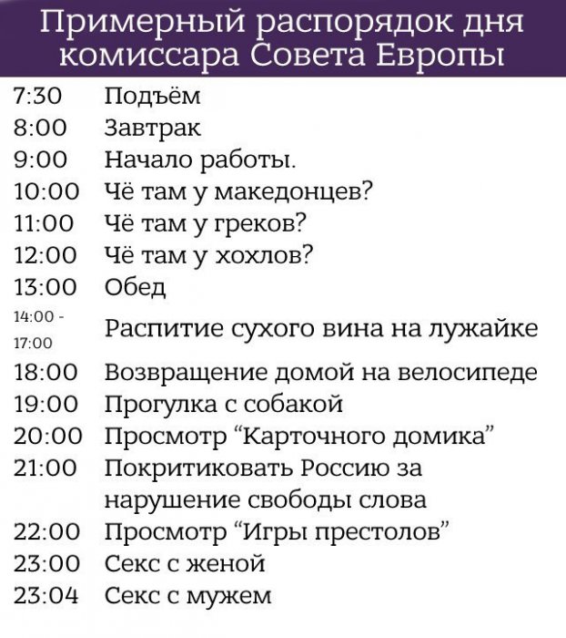 Распорядок дня комиссара Совета Европы
