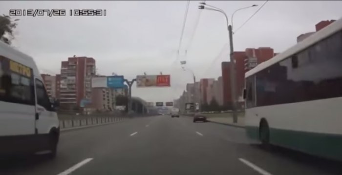 Животные на дороге! Человеческая доброта