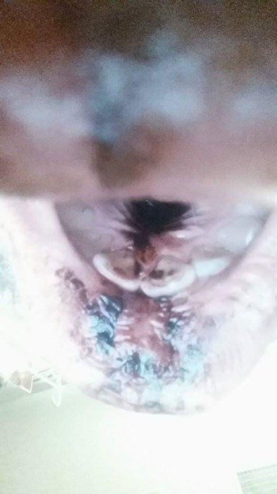 О вреде электронных сигарет