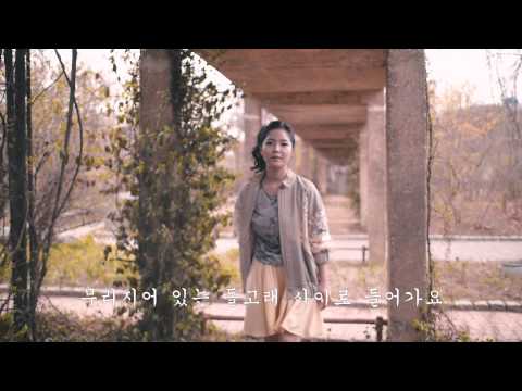 Dolphins — Infinity of Sound