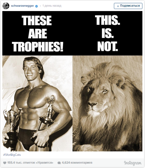 Арнольд Шварценеггер показал мрази, убившей льва Сесила, правильные трофеи