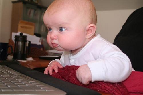 В сети... В сети...