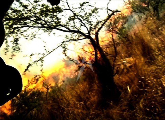 Это страшно - снял свою свою смерть