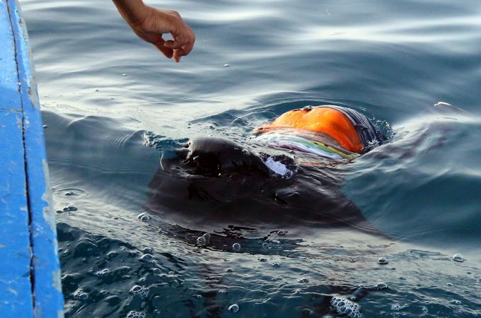 Сотни мигрантов из Ливии утонули