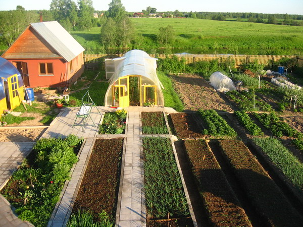 Американцы о дачах россиян! Американцы о дачах россиян!