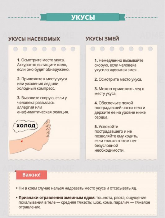 Инструкции по оказанию первой помощи