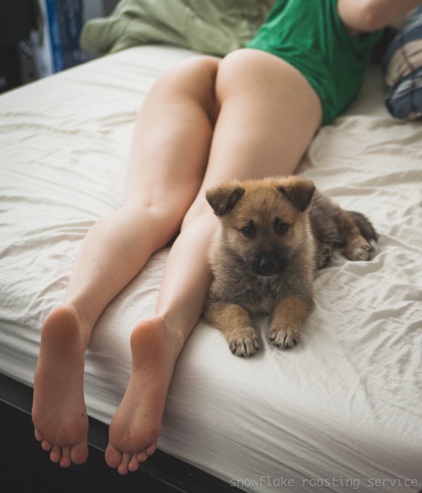 Девушки бывают разные