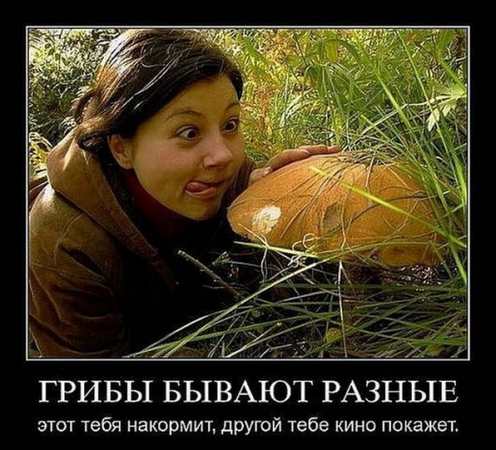 Грибные места Красноярска