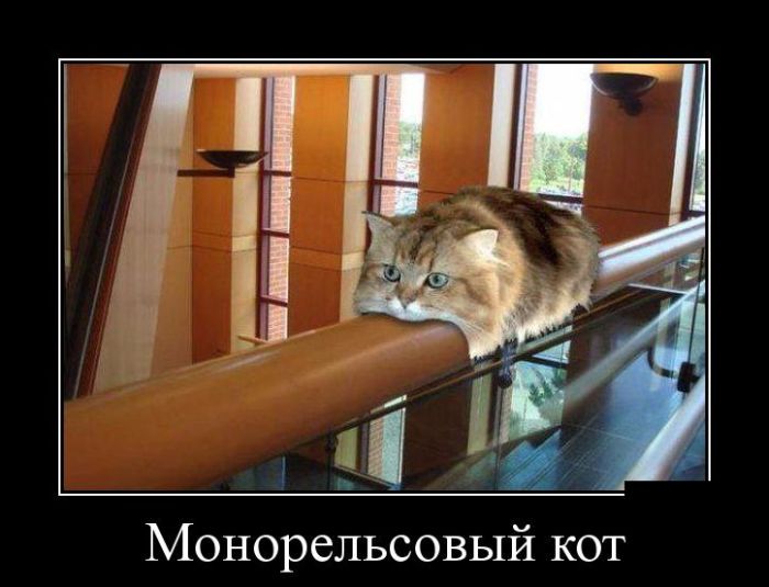 Демотиваторы