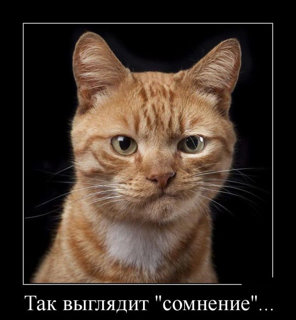 Демотиваторы