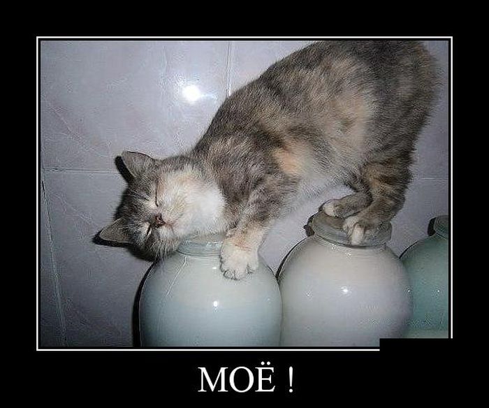 Демотиваторы