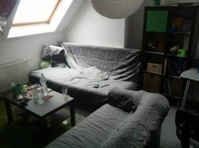 Забавные картинки