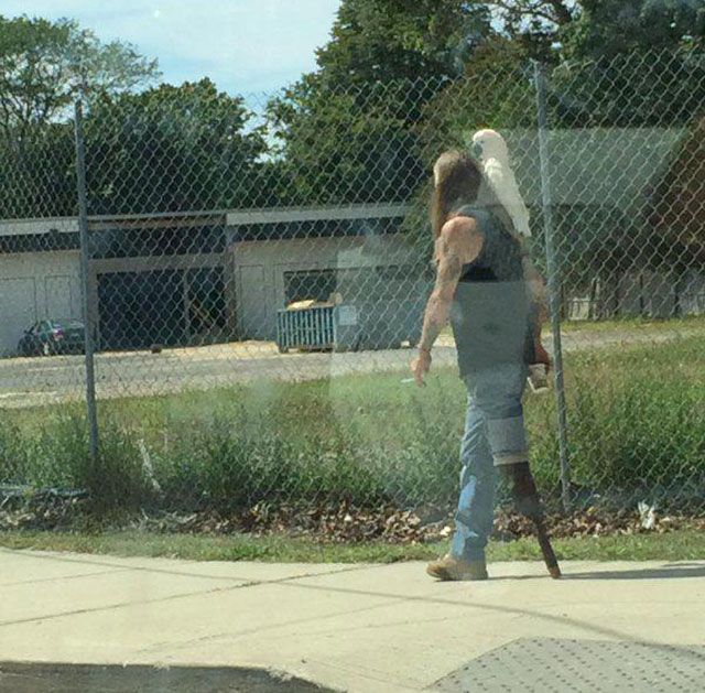 Забавные картинки