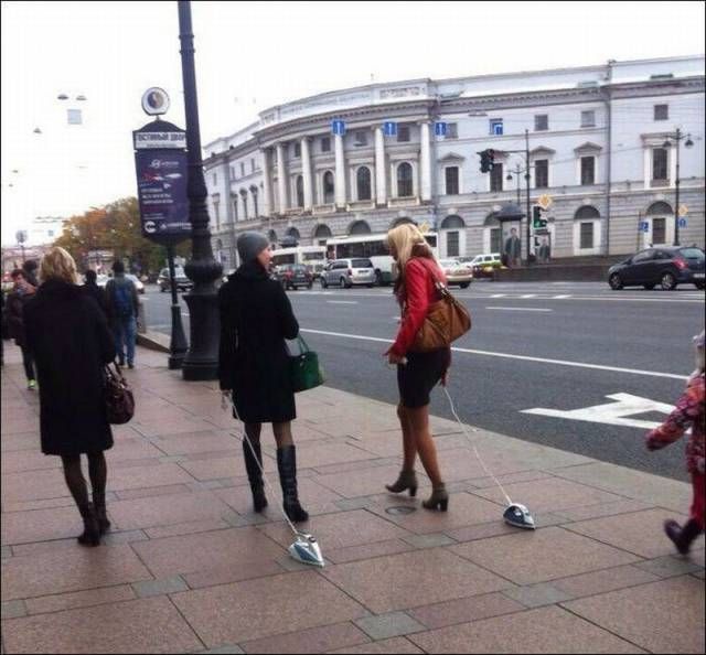 Забавные картинки