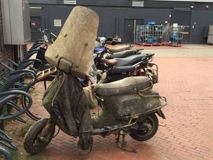 Забавные картинки