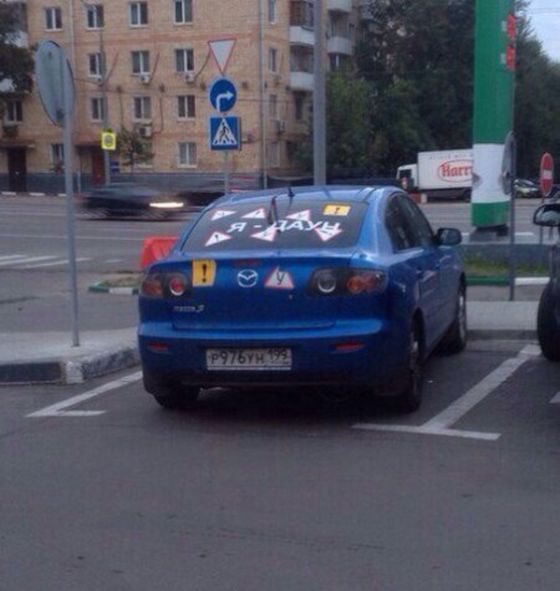 Забавные картинки