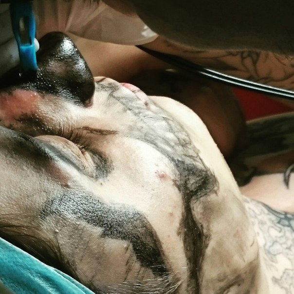 Татуировка в виде черепа