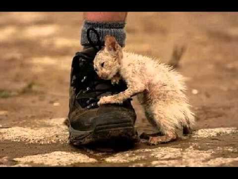 5 уроков, как относиться к людям