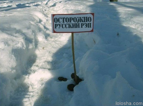 Признаки графомана