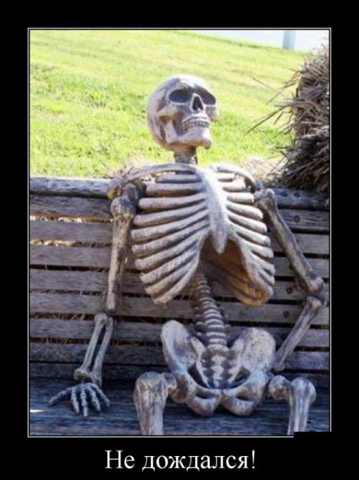 Демотиваторы