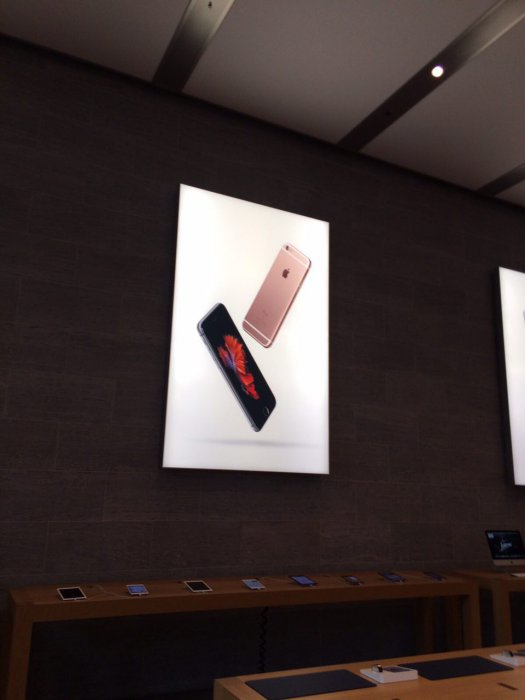 Айфон головного мозга: очереди в палатках за новыми iPhone 6s