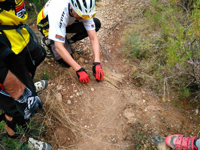 Альканьисские партизаны