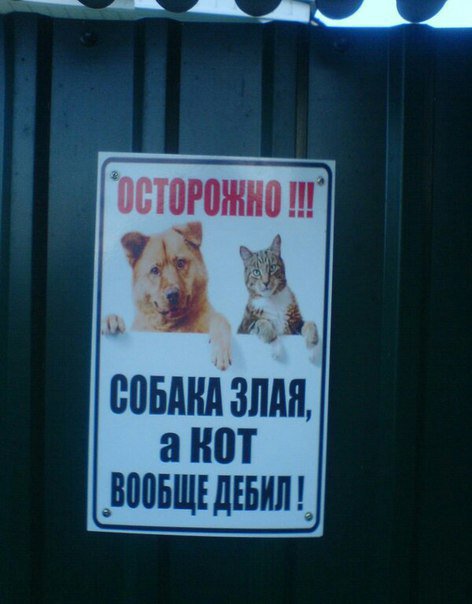 немного картинок