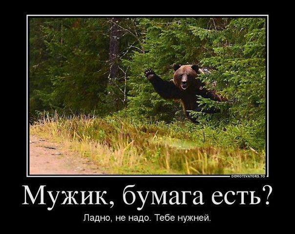 немного картинок