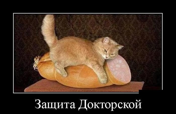 немного картинок