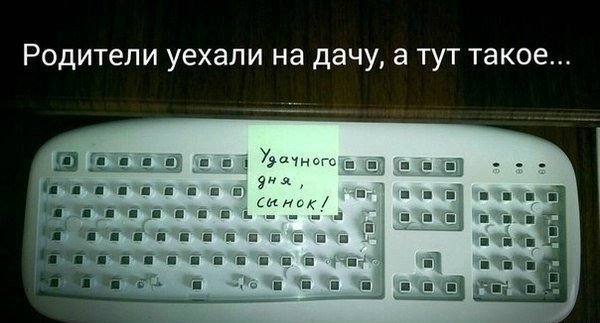 немного картинок