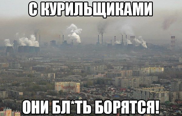 немного картинок