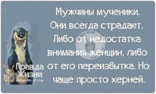 немного картинок